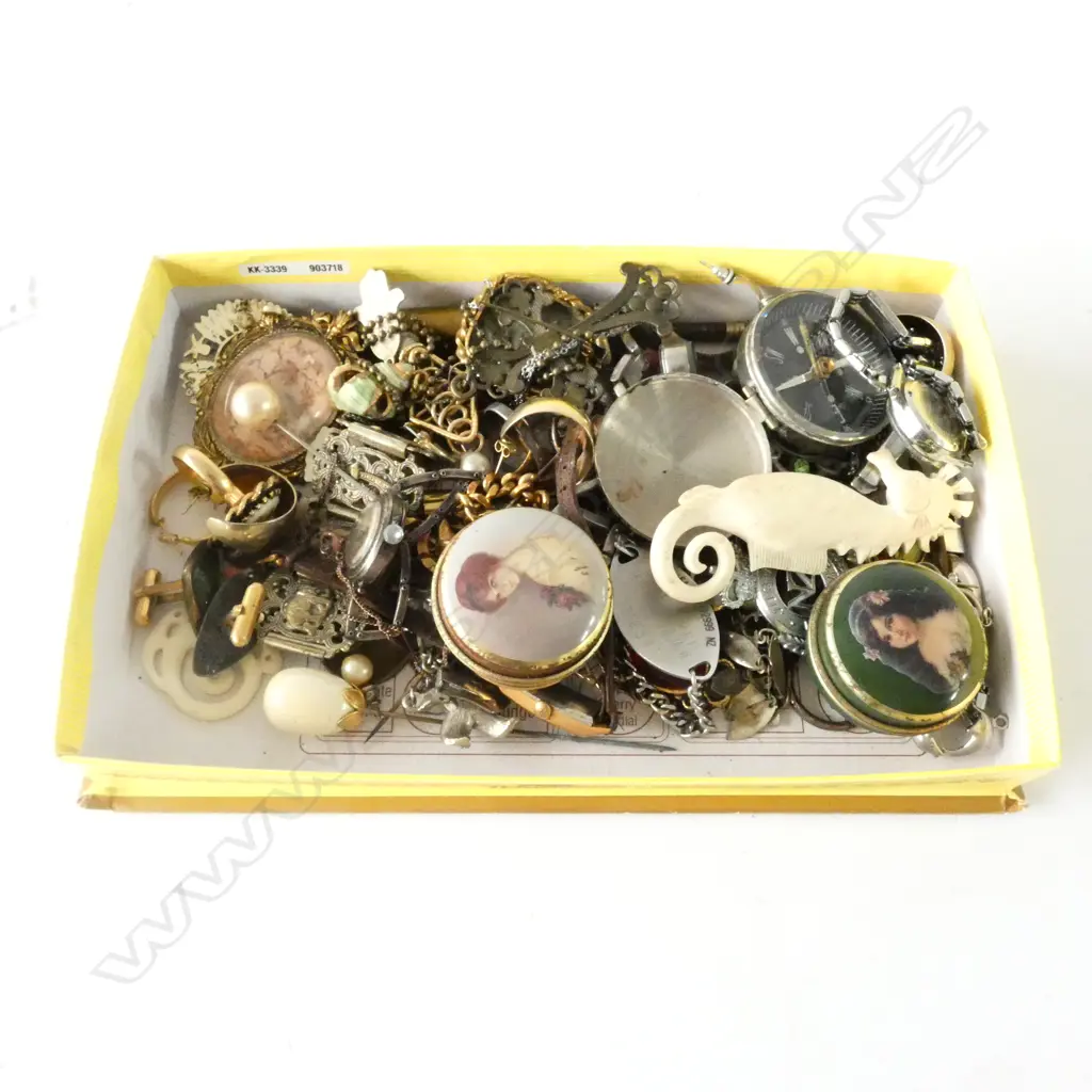 COLLECTION OF COSTUME JEWELRY Image 1++
