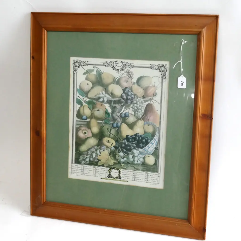 A GOOD ANTIQUE ENGRAVING OF THE ORIGINAL ROBERT FURBER 12 MONTHS OF FRUIT (NOVEMBER) 655MM Image 1++