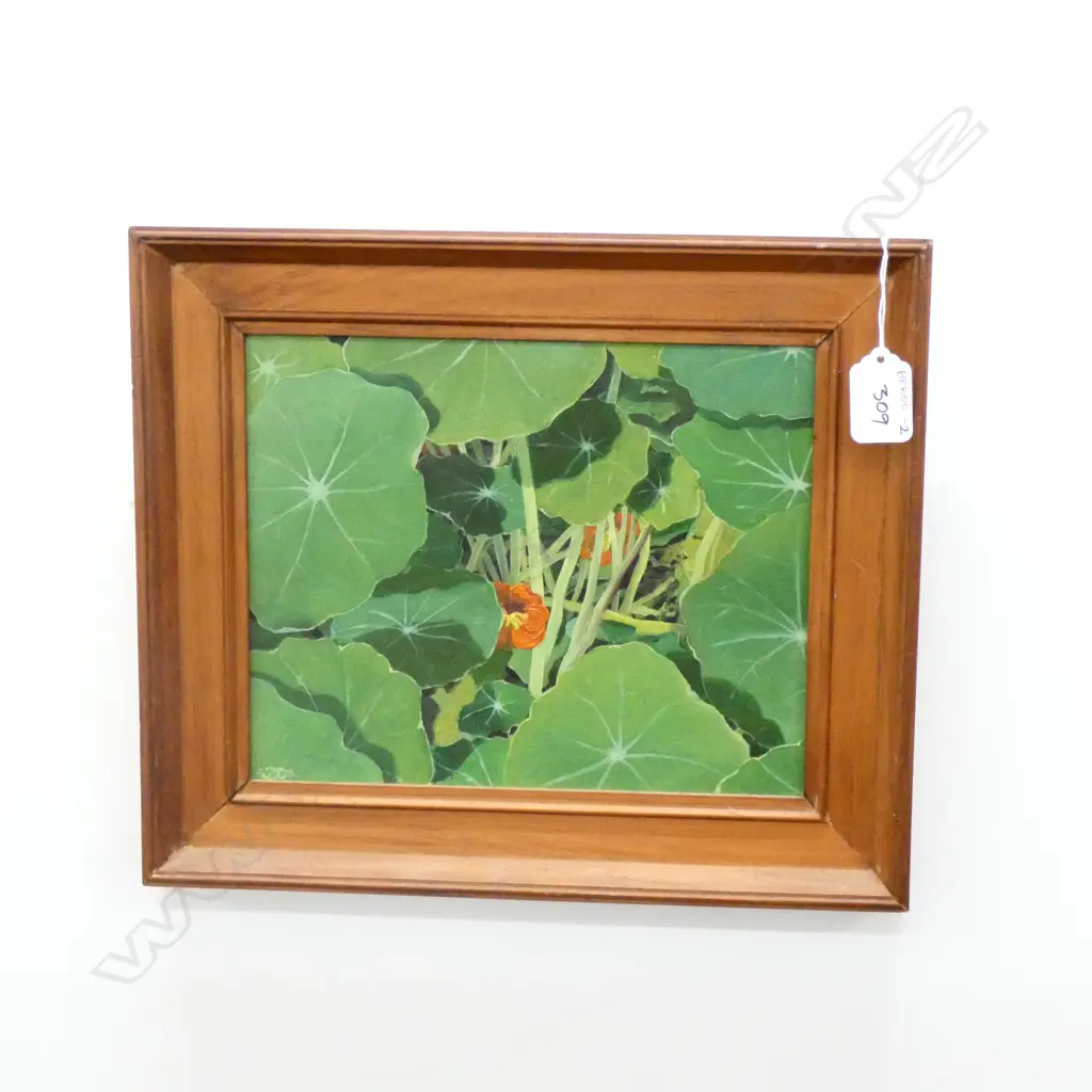 OIL ON BOARD "NASTURTIUMS"  SIGNED & DATED JOHN MCLEAN 1979 Image 1++