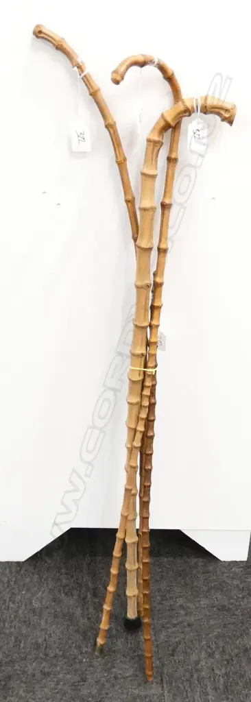 3 BAMBOO WALKING STICKS + A CANE Image 1++