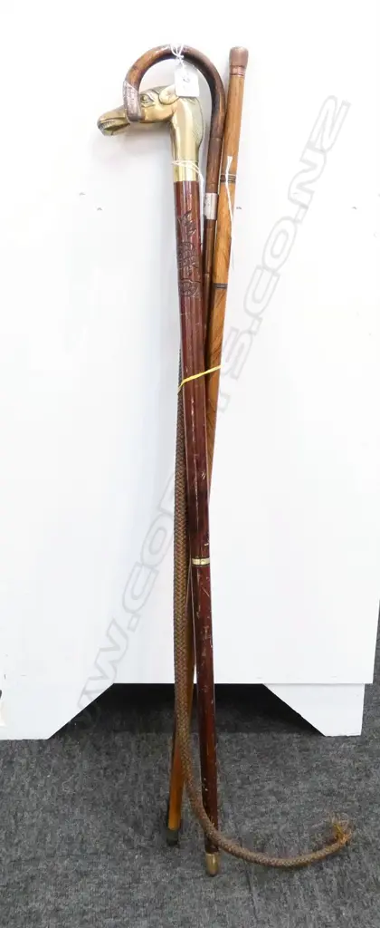 3 NOVELTY WALKING STICKS & A WHIP Image 1++