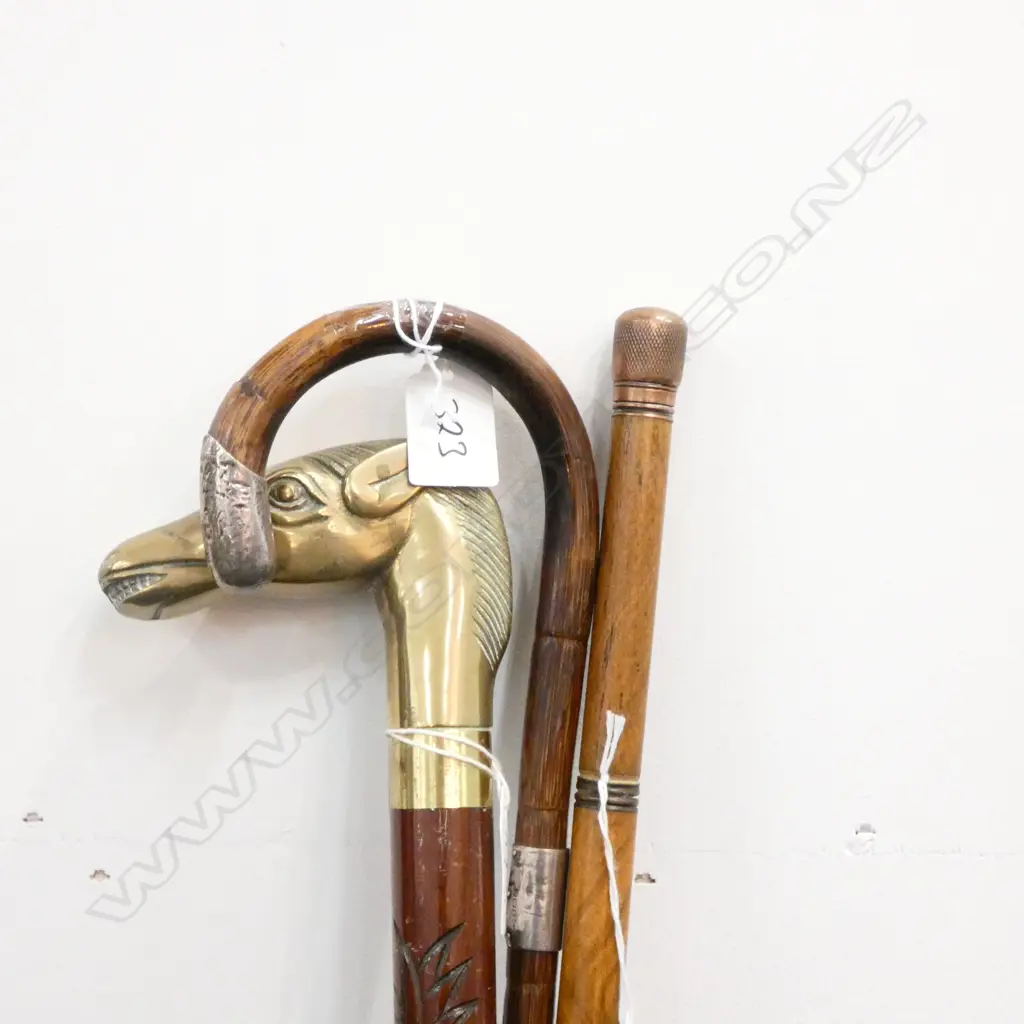 3 NOVELTY WALKING STICKS & A WHIP Image 1++