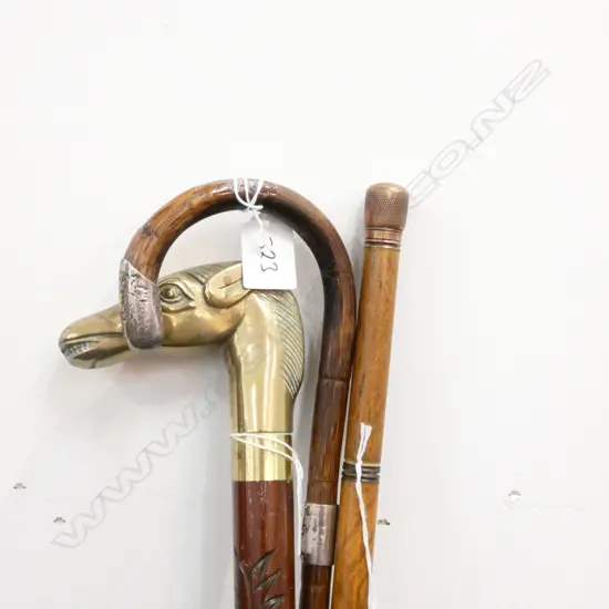 3 NOVELTY WALKING STICKS & A WHIP