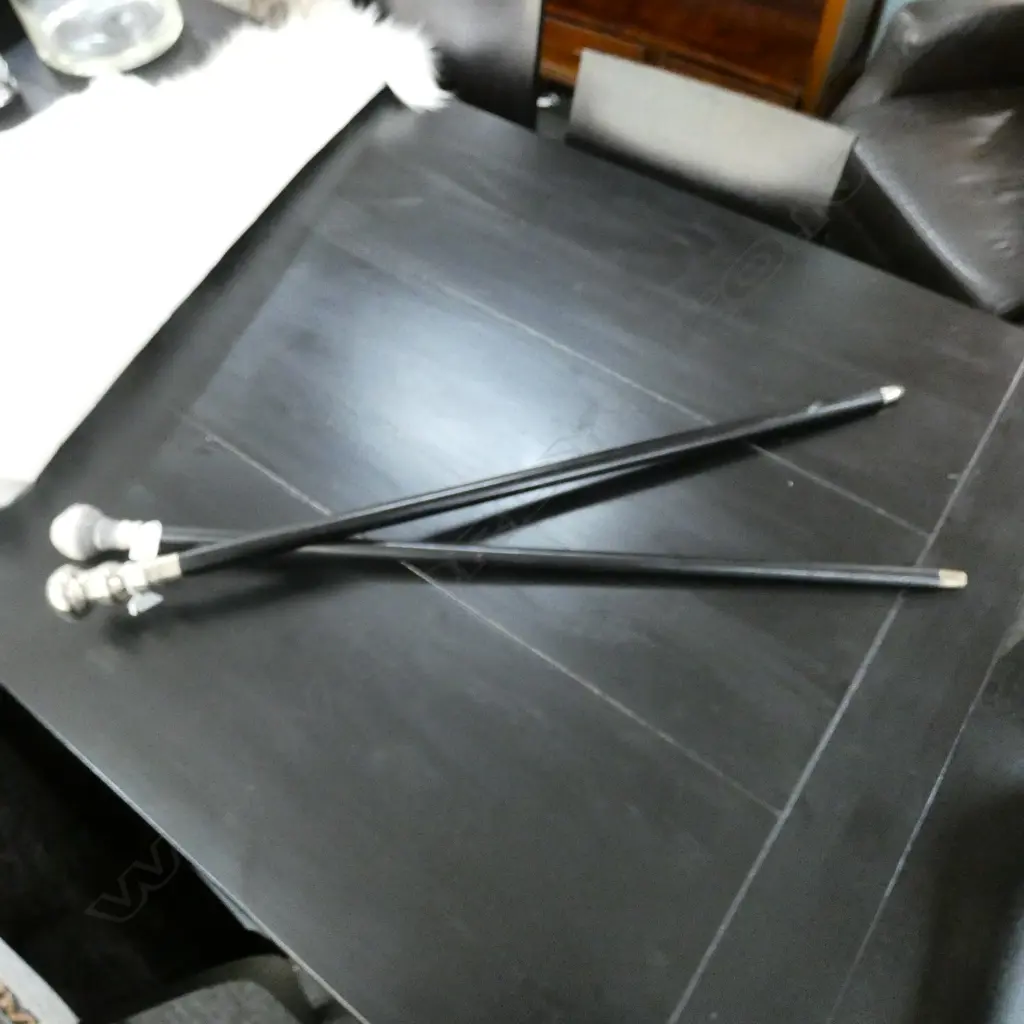 2 NOVELTY WALKING STICKS; COMPASS & CAPRICORN L. 915MM Image 1++