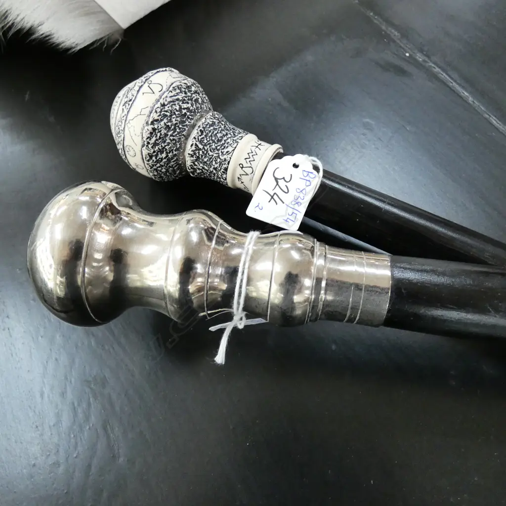 2 NOVELTY WALKING STICKS; COMPASS & CAPRICORN L. 915MM Image 1++