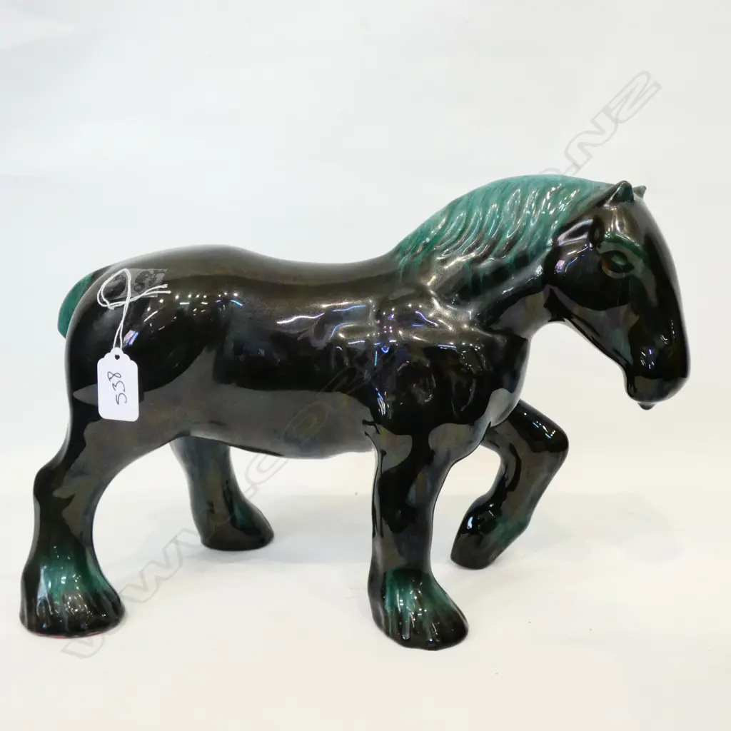 BLUE MOUNTAIN HORSE Image 1++
