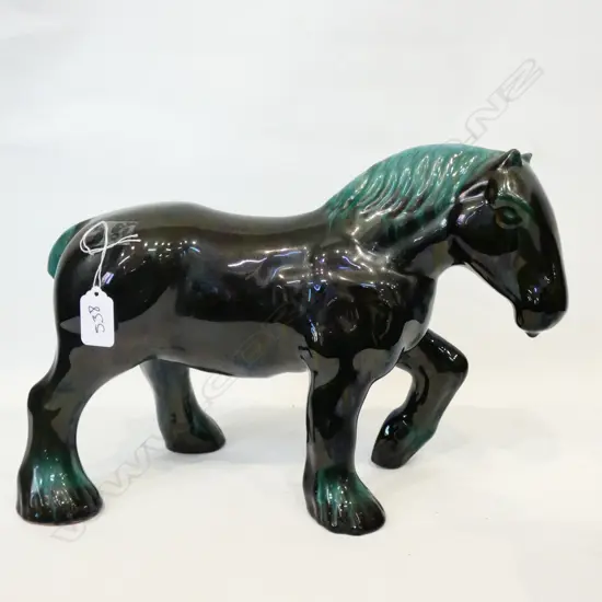 BLUE MOUNTAIN HORSE