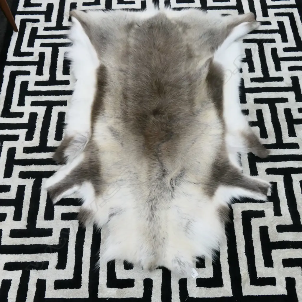 REINDEER HIDE FROM DENMARK L1570 MM Image 1++