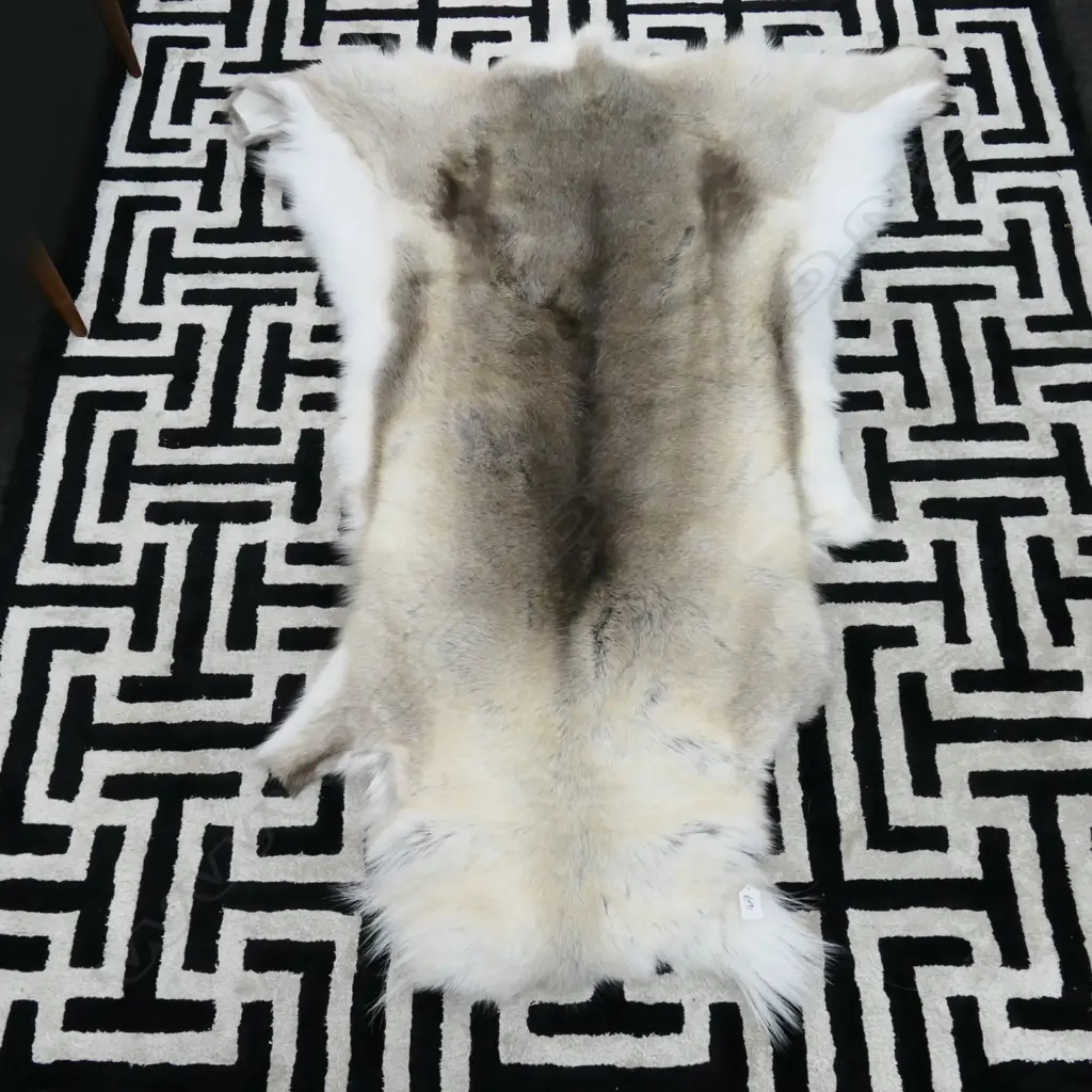 REINDEER HIDE FROM DENMARK L1570 MM Image 1++