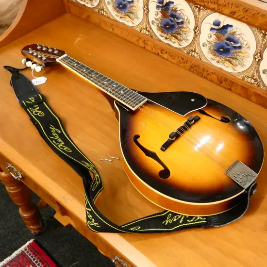 MANDOLIN L. 690MM