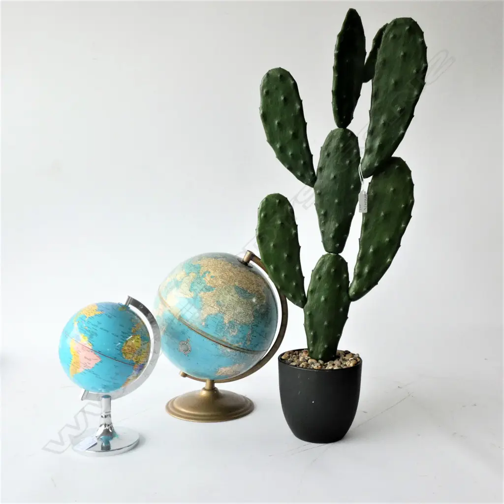 2 GLOBES & CACTUS H. 670MM Image 1++