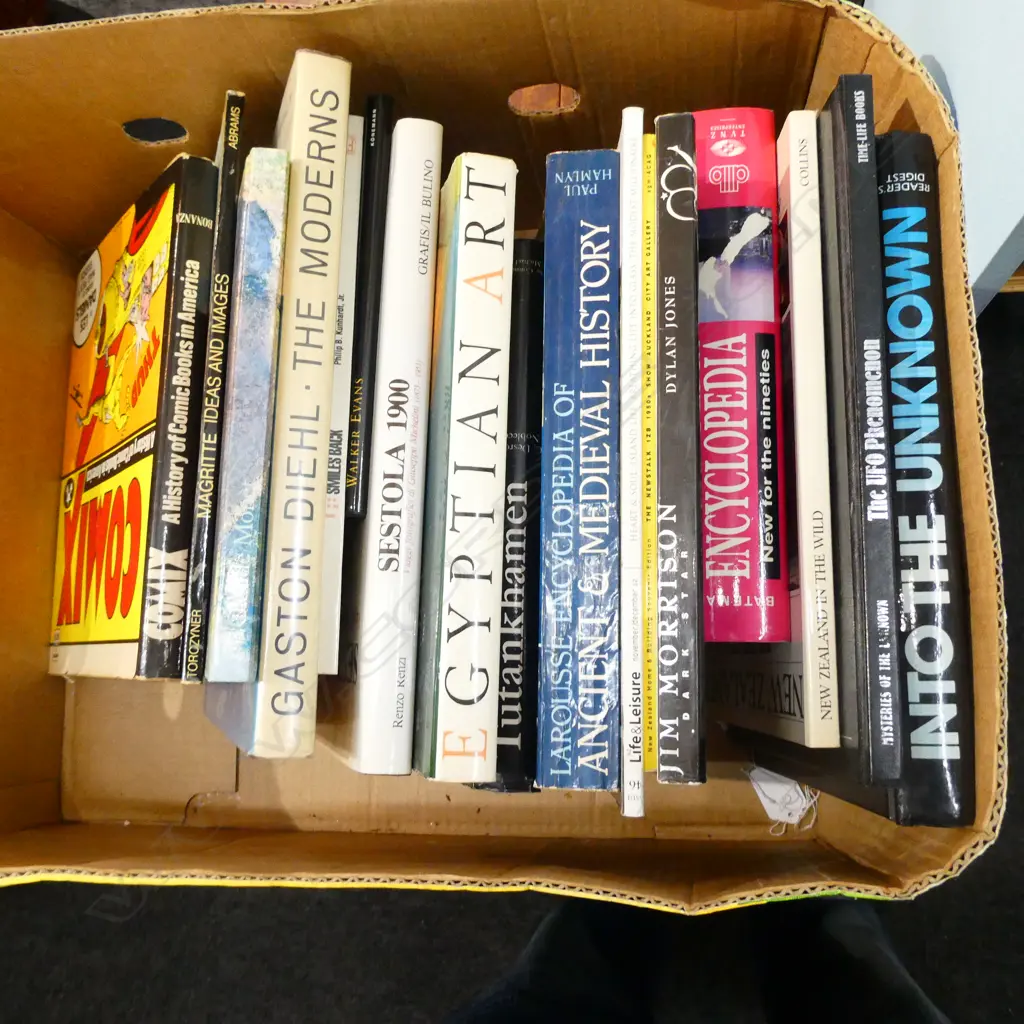 LOT ASST BOOKS COMIX/EGYPTIAN ART/THE MODERNS ETC Image 1++