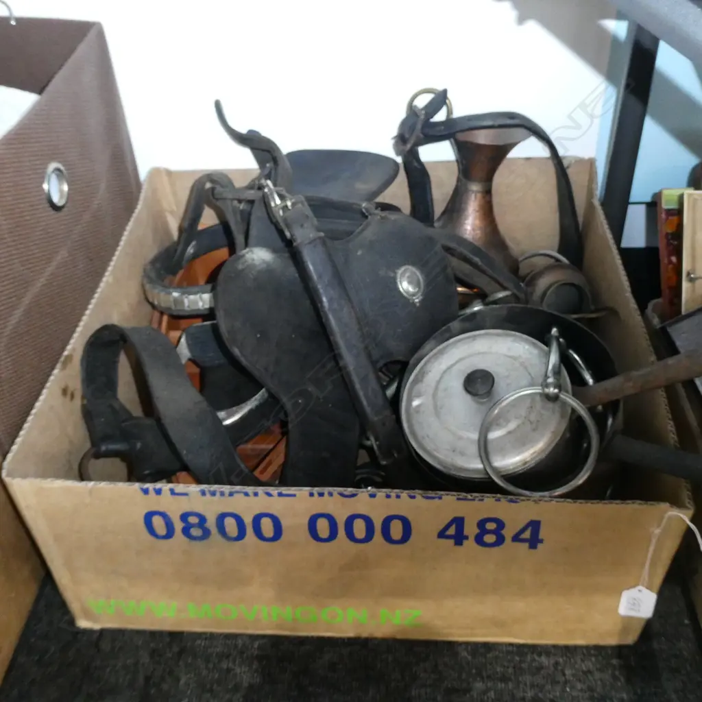 BOX LOT HORSE EQUIPMENT ETC Image 1++