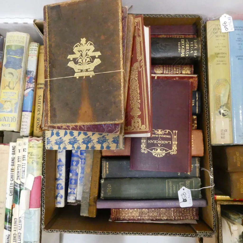 BOX OF ANTIQUE AND VINTAGE BOOKS Includes Pepys Diary, Thomas Hardy etc. Image 1++