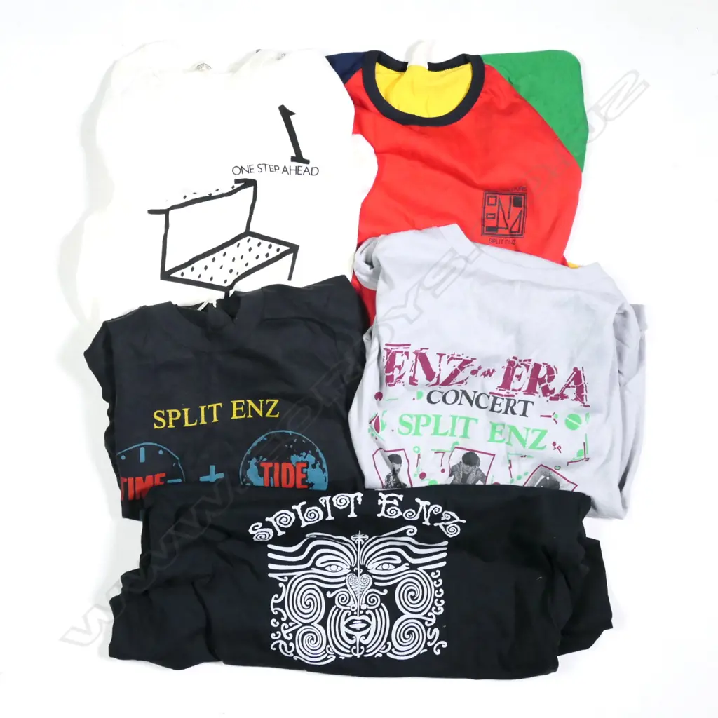 5 ASST SPLIT ENZ TEE SHIRTS TRUE COLOURS ETC VARIOUS SIZES Image 1++