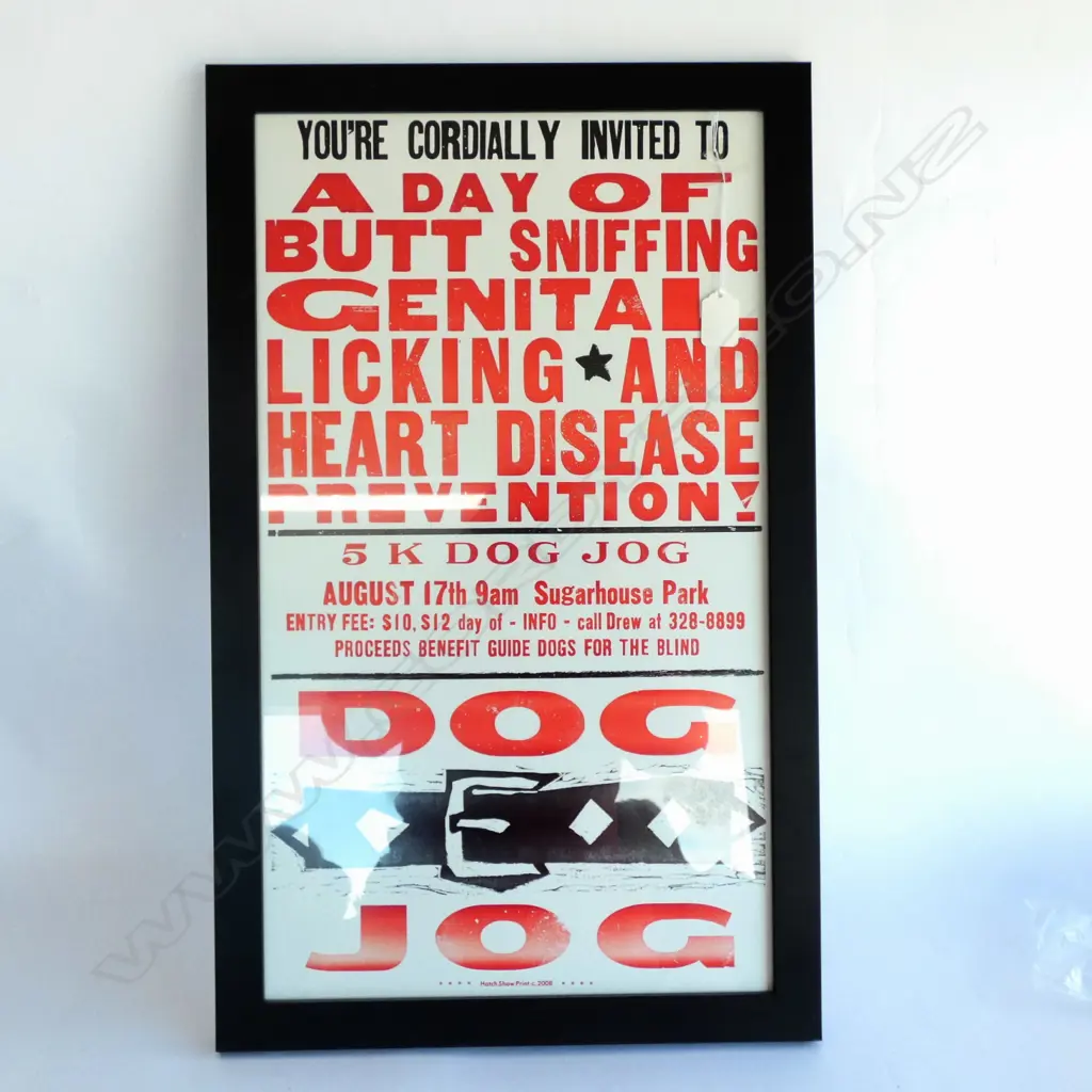 FRAMED PHOTO DOG JOG 570x320mm Image 1++