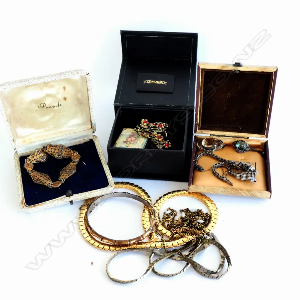 ASST. COSTUME JEWELLERY NECKLACES CAMEO BRACELET... Image 1++