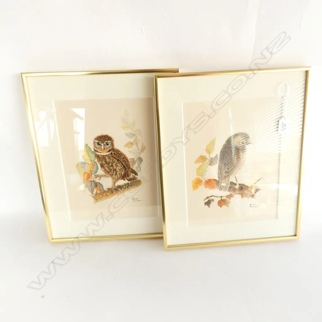 PR WATERCOLOURS OF MOREPORK AND SOUTH ISLAND ROBIN by GLEN ANDERSON Image 1++