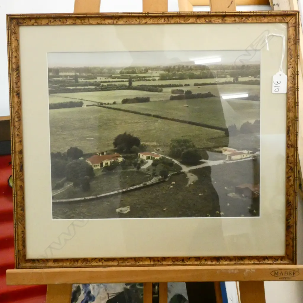 TAMAHERE PICTURE 300X350 Image 1++