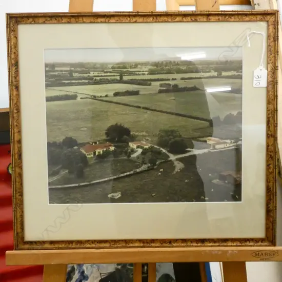 TAMAHERE PICTURE 300X350