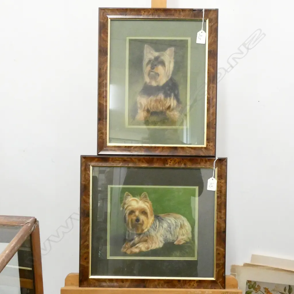 DIANNE BANNISTER 2 PASTELS OF TERRIERS 240 X 165MM IMAGE Image 1++