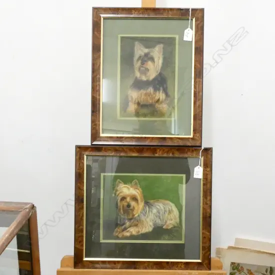 DIANNE BANNISTER 2 PASTELS OF TERRIERS 240 X 165MM IMAGE