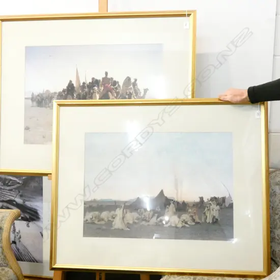 2 LARGE PRINTS DESERT SCENES 690 X 480MM IMAGE