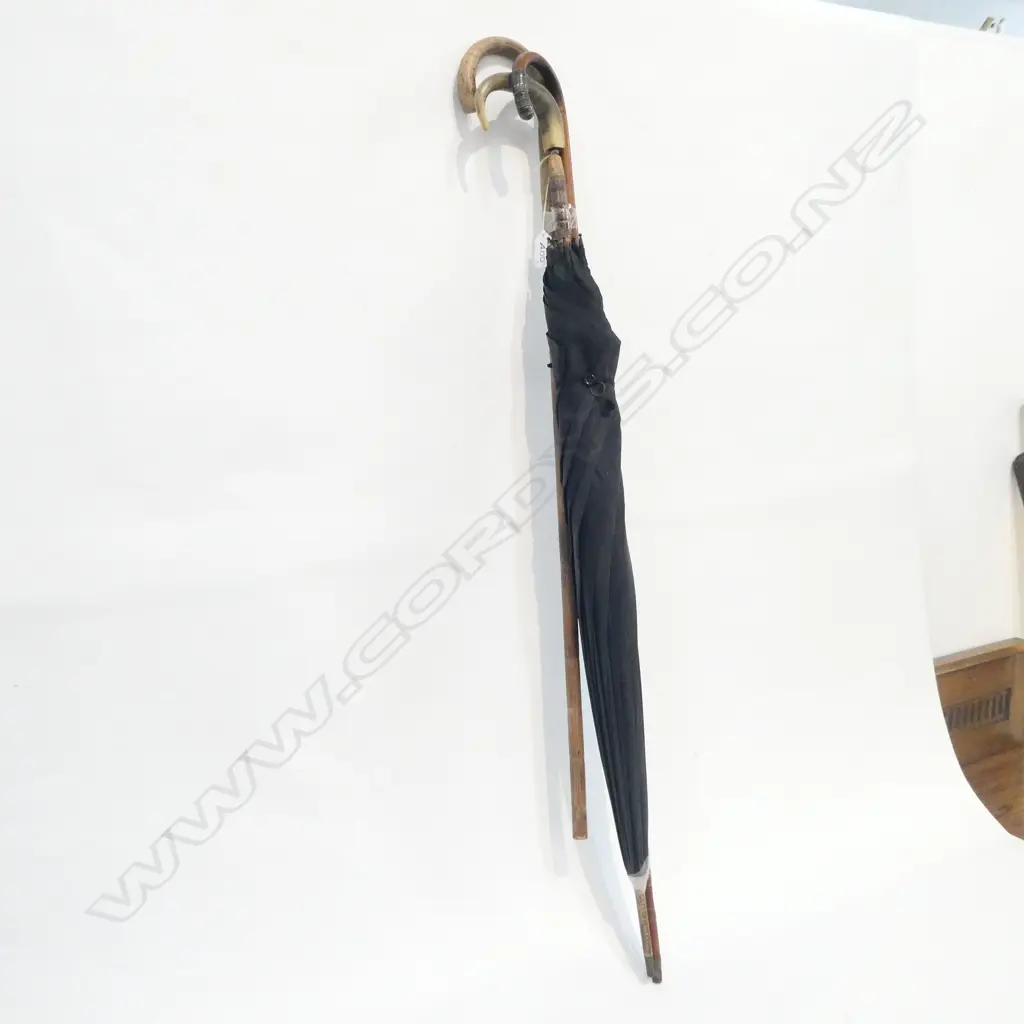 TWO WALKING STICKS AND AN UMBRELLA Image 1++