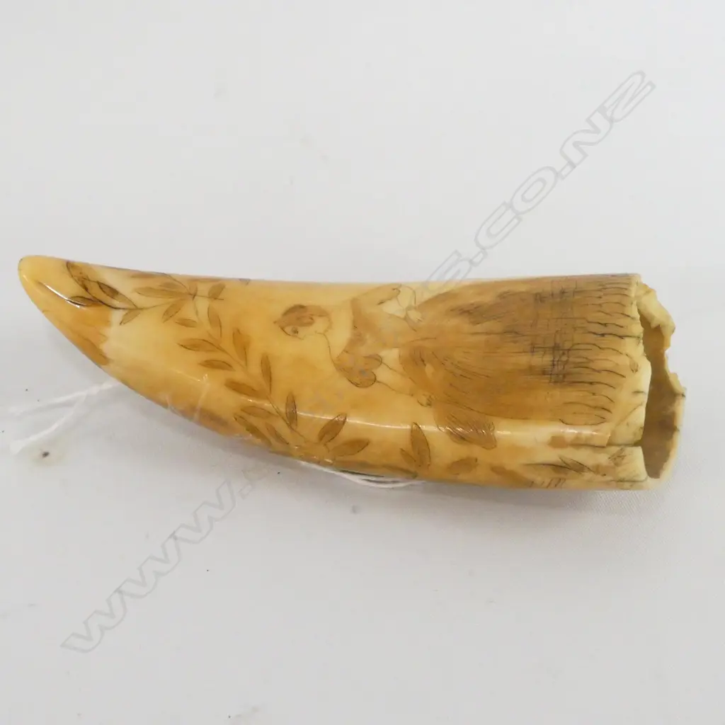 19thC SCRIMSHAW WHALES TOOTH L. 130MM Image 1++