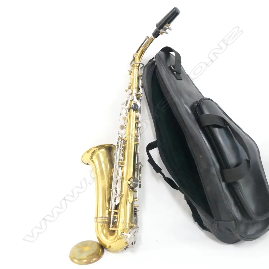 PARROT SAXOPHONE IN CASE Image 1++