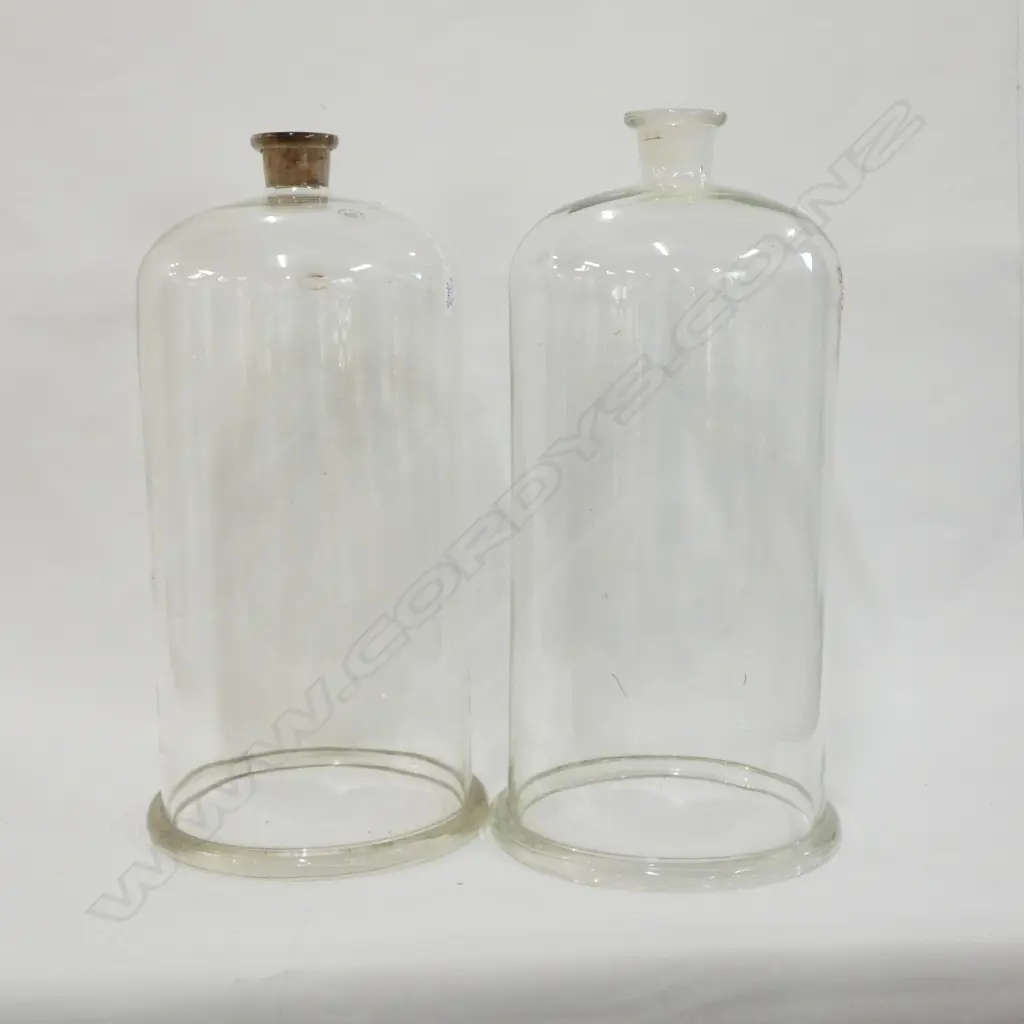 PR CZECHOLSLOVAKIAN GLASS DOMES H. 550MM Image 1++