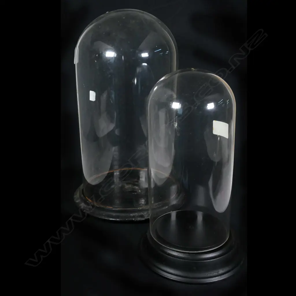 TWO GLASS DOMES ON STANDS (12" & 15"), H. 310 & 400mm Image 1++