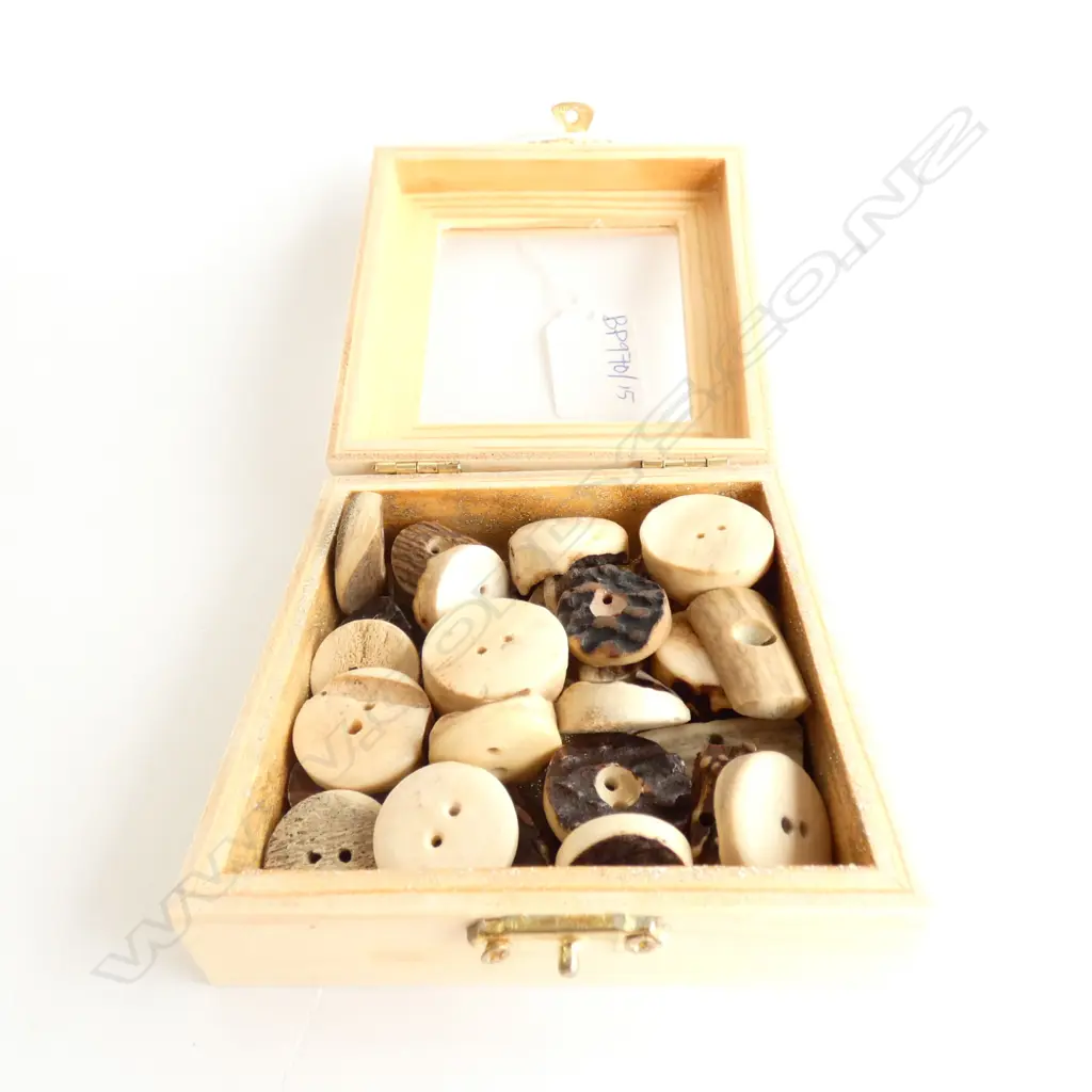 COLLECTION OF DEER ANTLER BUTTONS, BOXED Image 1++