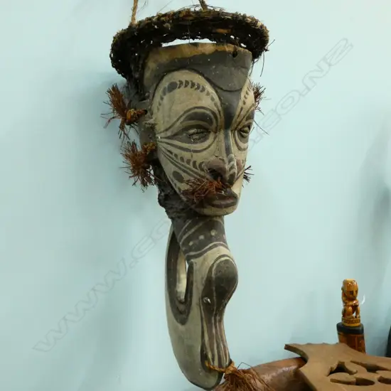 SEPIK RIVER PHALLOCRYPT PAPUA