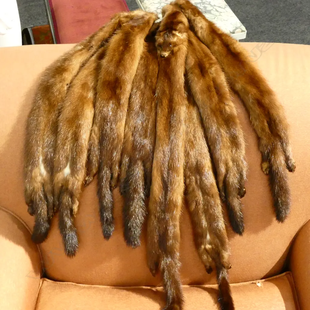 COLLECTION OF BROWN MINK Image 1++