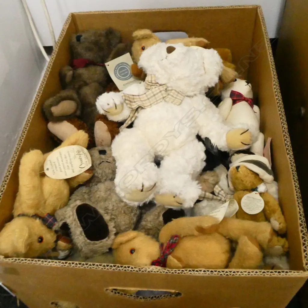 BOX LOT ASST. TEDDIES Image 1++