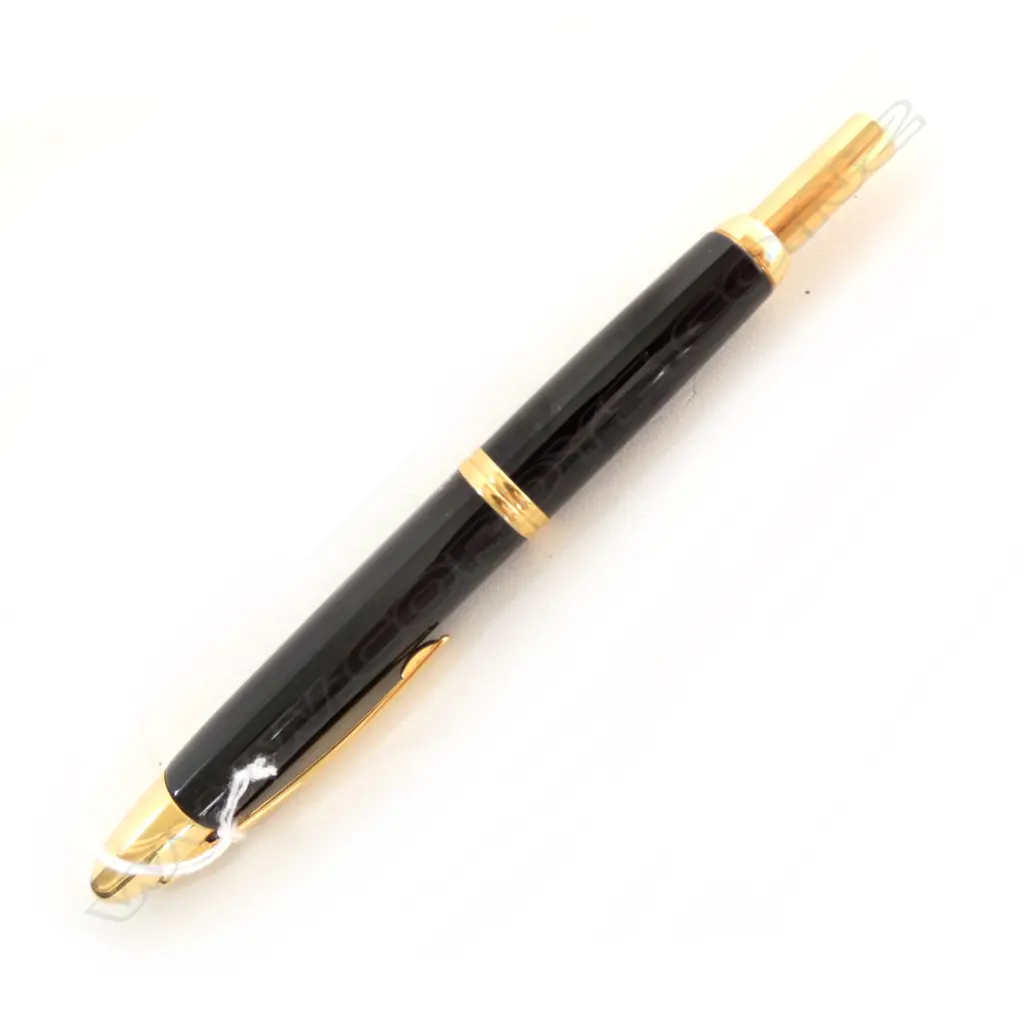 JAPANESE PILOT FOUNTAIN PEN (14CT GOLD NIB) Image 1++