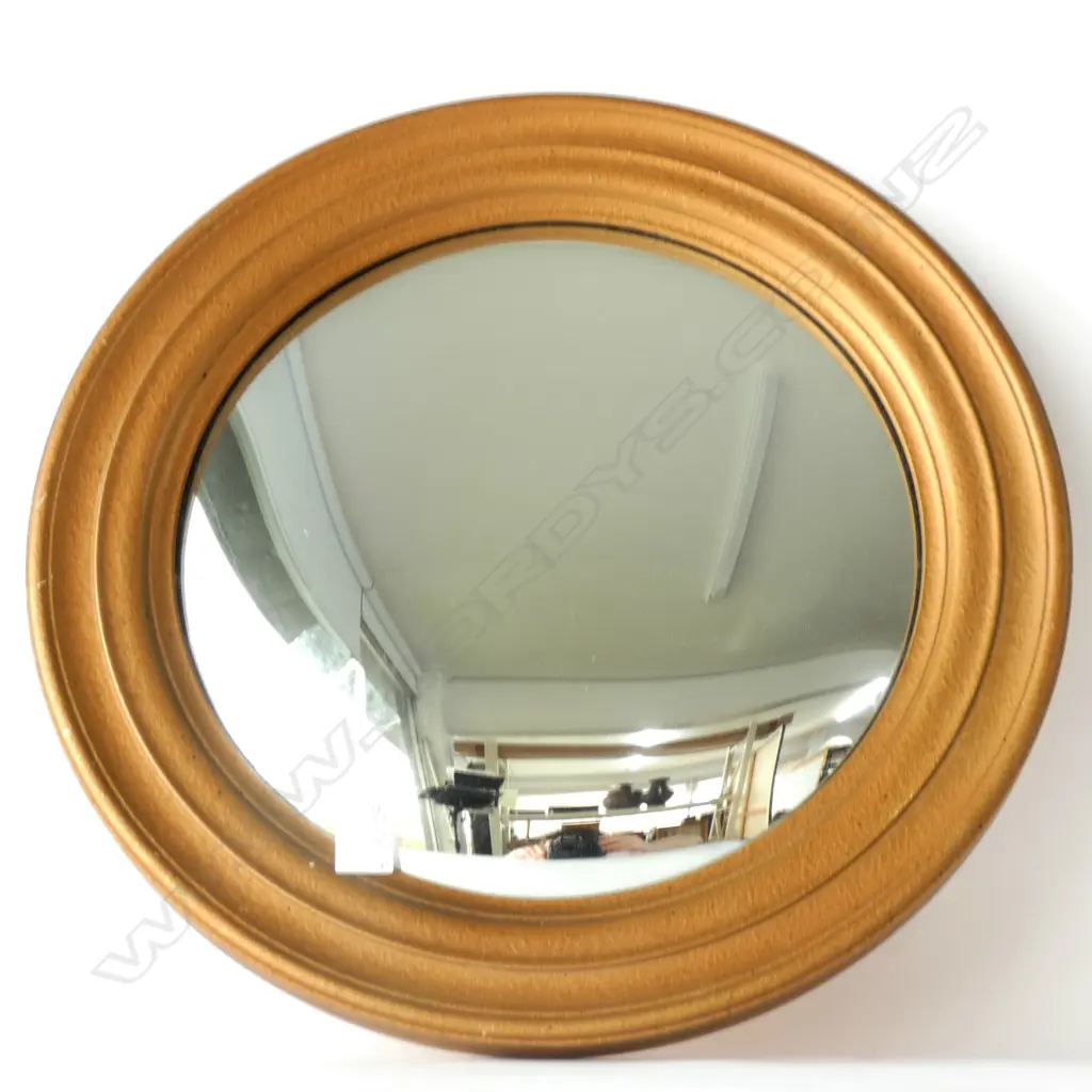 CIRCULAR CONVEX MIRROR 460MM DIA Image 1++