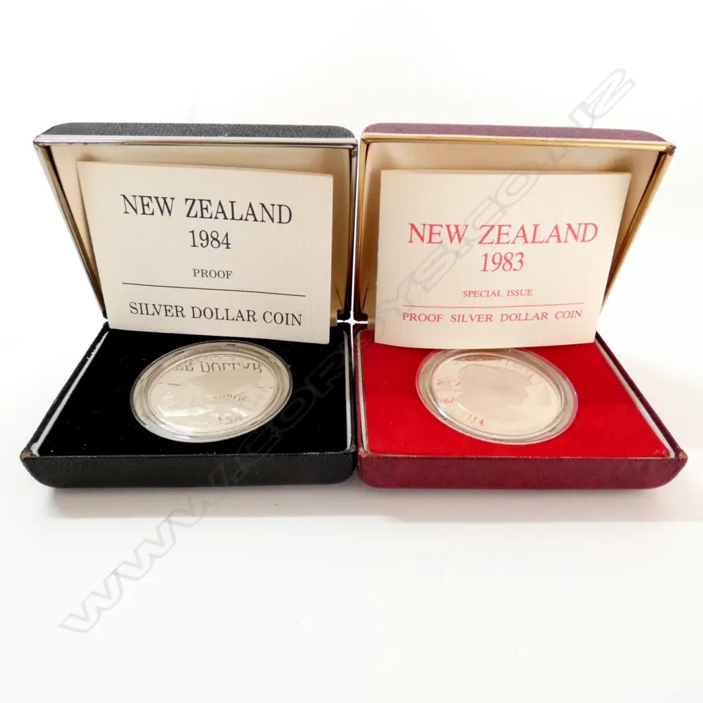 TWO PROOF SILVER COINS -CHARLES/DI & BLACK ROBIN Image 1++