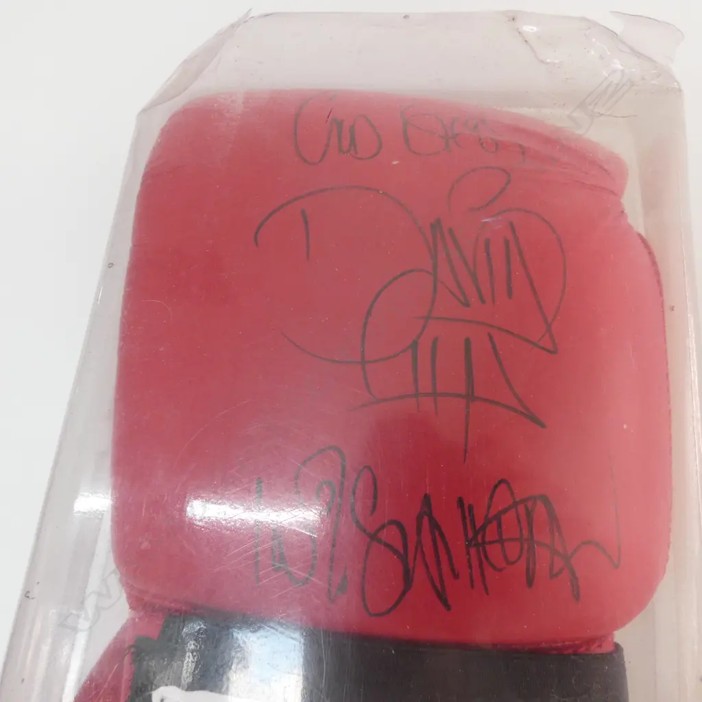 PR DAVID TUA SIGNED BOXING GLOVES Image 1++