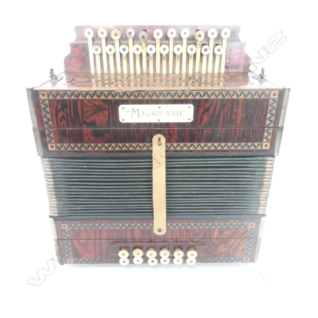 MAORILAND PIANO ACCORDION Image 1++