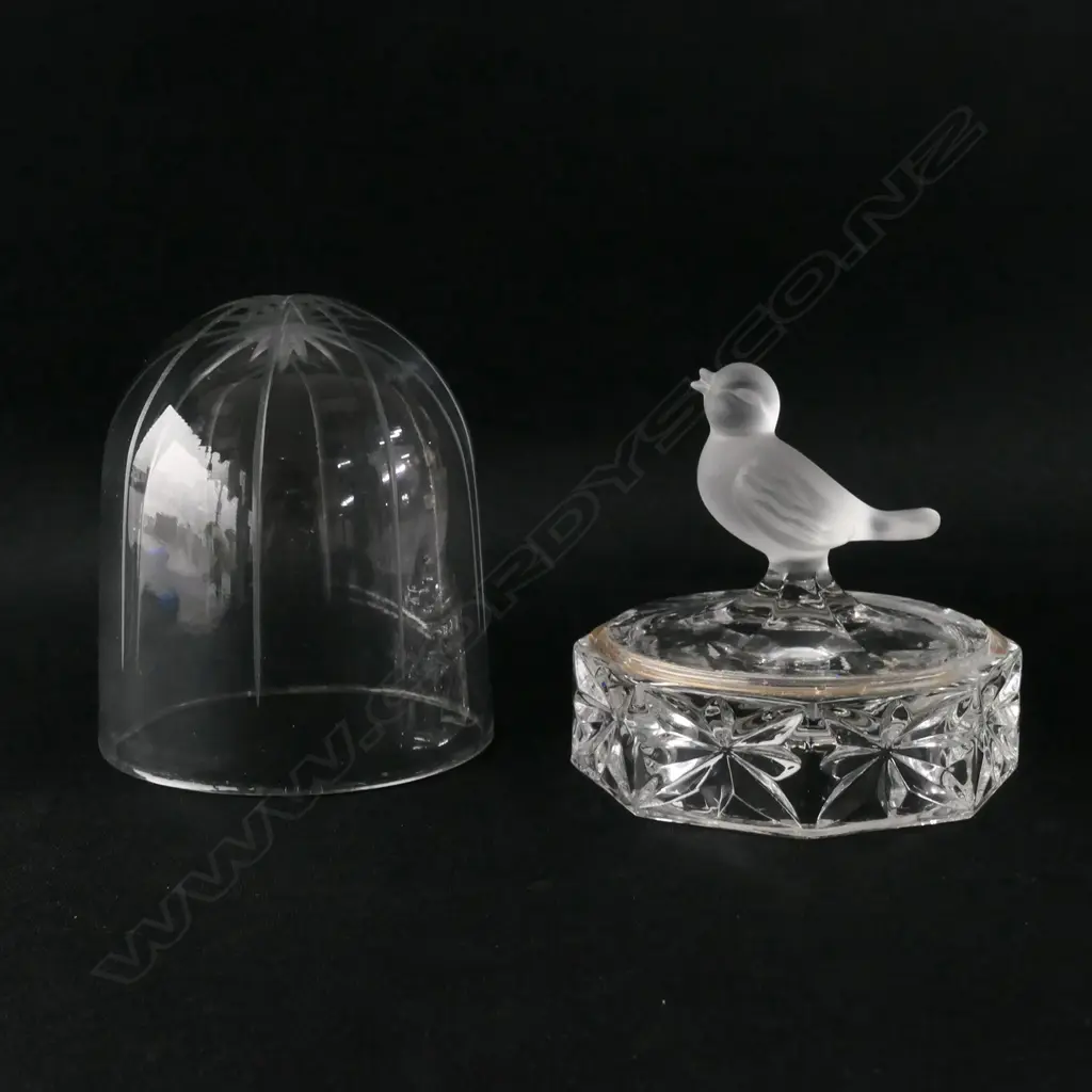 GLASS/CRYSTAL BIRD IN DOME CASE H.105mm Image 1++