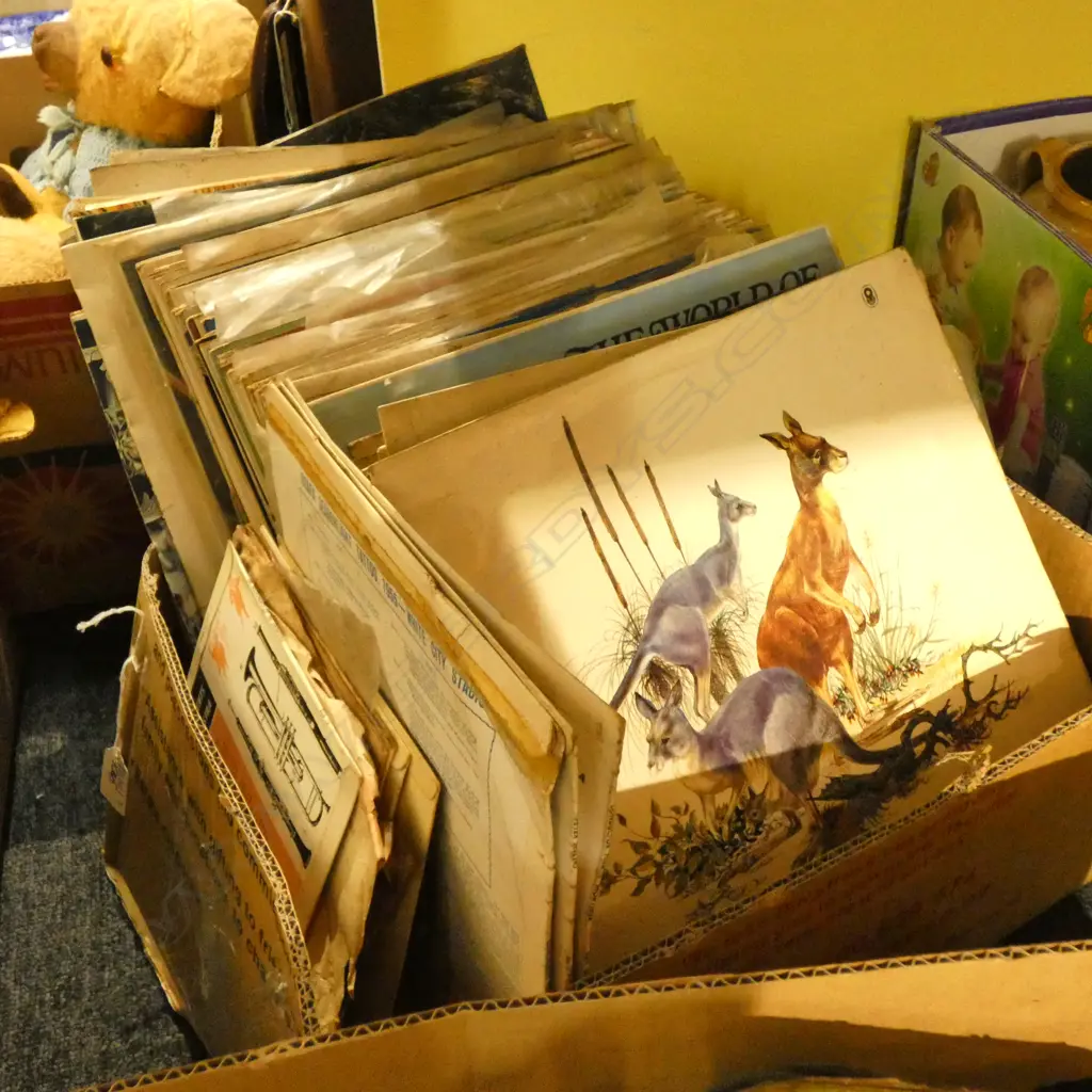 BOX LOT ASST. VINYL Image 1++
