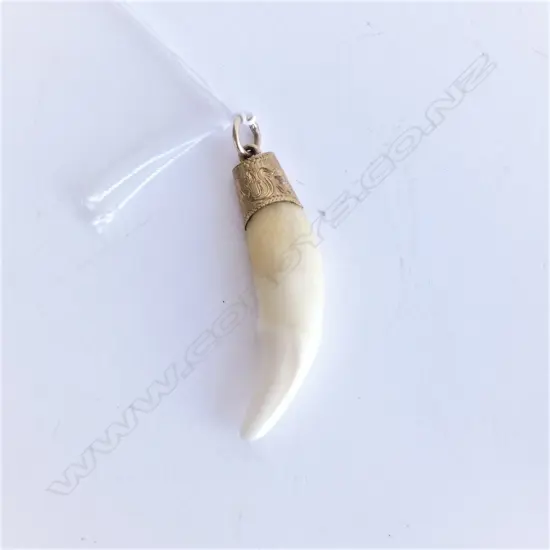 9CT GOLD ENCASED FELINE TOOTH, L. 40MM