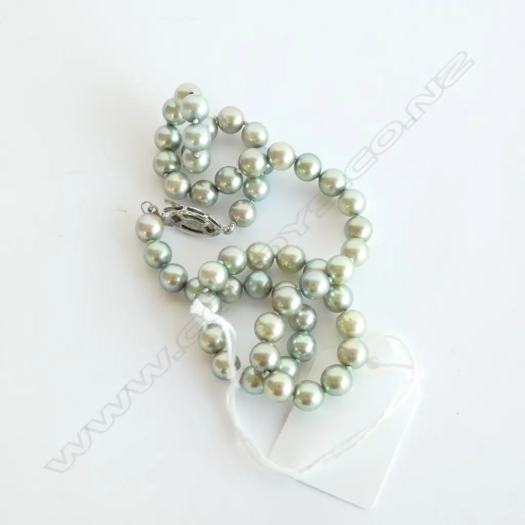 Grey Pearls, with old label (7mm $350) Image 1++