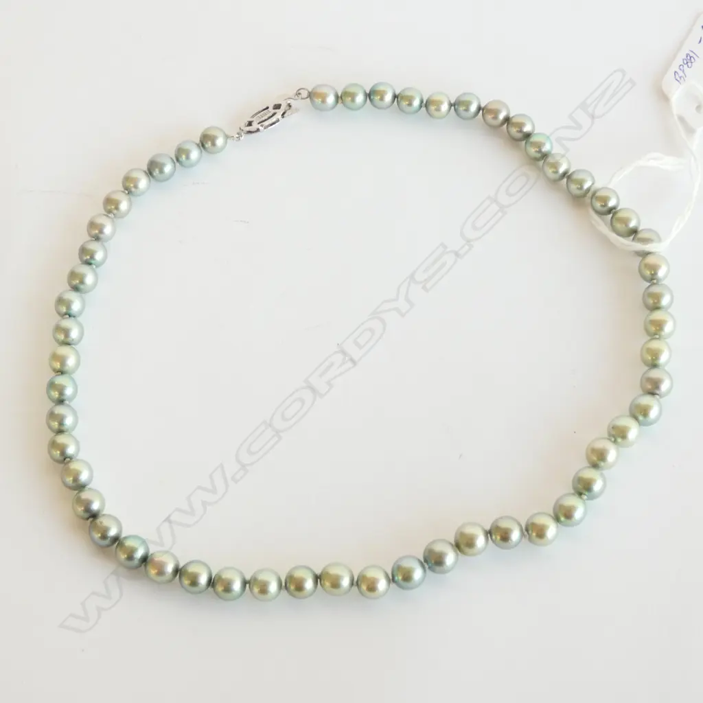 Grey Pearls, with old label (7mm $350) Image 1++