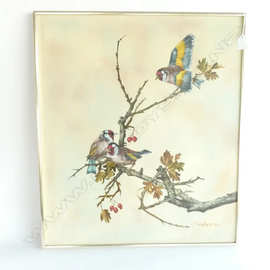 FRAMED OIL ON BOARD G. ZEFTAKZS(?) BIRD PAINTING , 580 X 510MM Image 1++