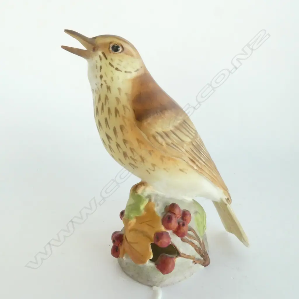 ROYAL WORCESTER THRUSH 3234 Image 1++