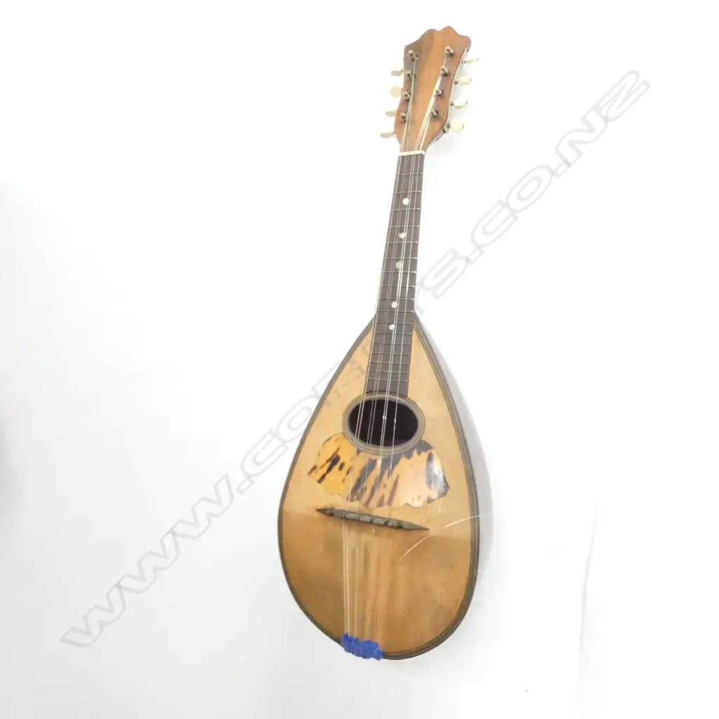 VINTAGE ITALIAN MANDOLIN w SATINWOOD STRUNG ROSEWOOD BACK Image 1++