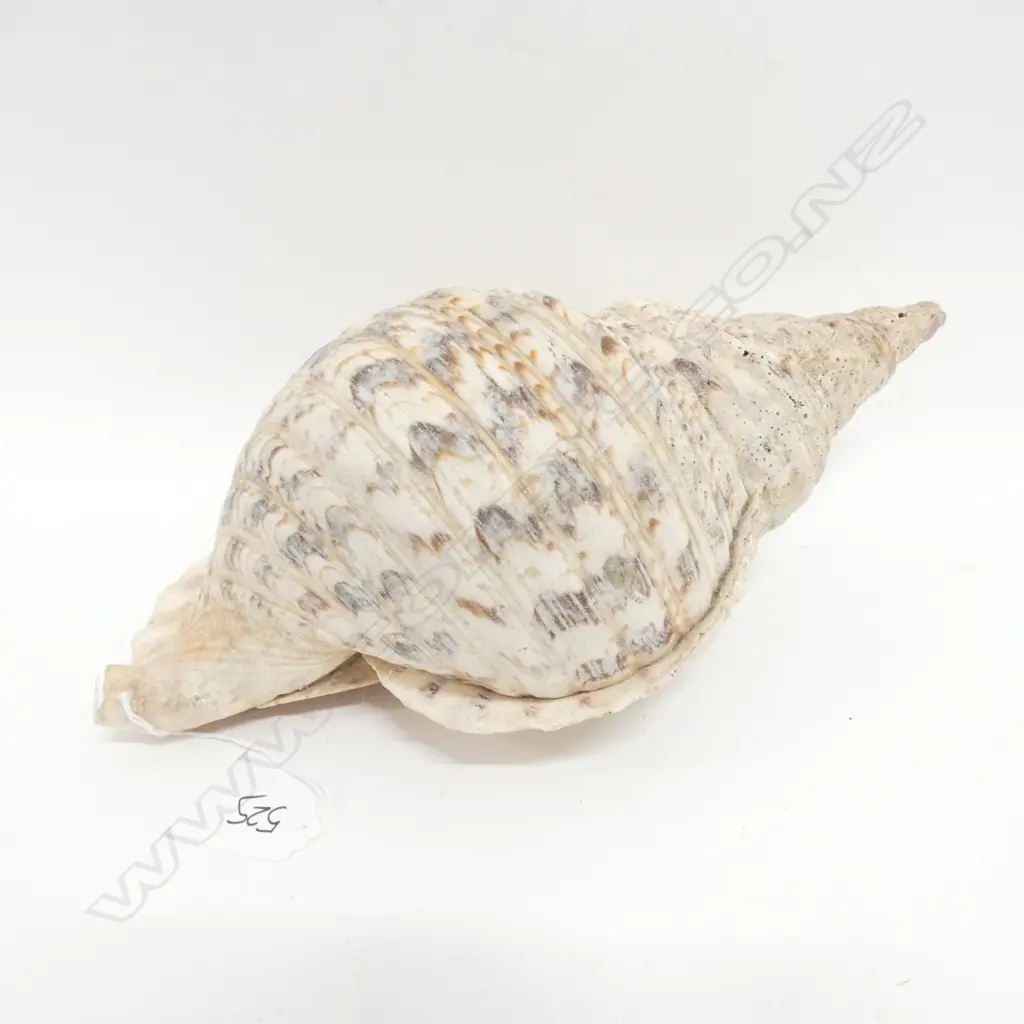 LGE TRITON SHELL, W. 360MM Image 1++